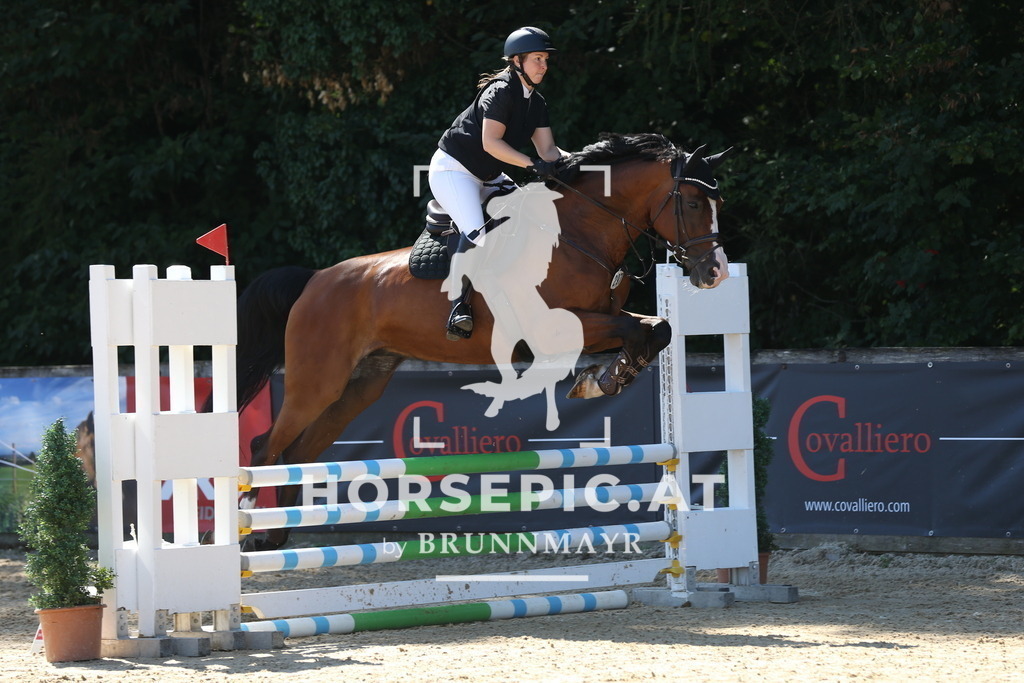 DL2Q8348 | Willkommen bei Brunnmayr - Design & Fotografie – Ihrem Spezialisten für Reitturniere und Pferdeveranstaltungen in Oberösterreich, Salzburg und Bayern! Seit über 17 Jahren sind wir leidenschaftlich dabei.