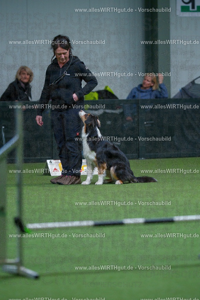7R501969 | Professionelle Tierfotografie in Mönchengladbach von Daniel Wirth (allesWIRTHgut). Liebevolle & natürliche Bilder von Hunden & Katzen für unvergessliche Erinnerungen.