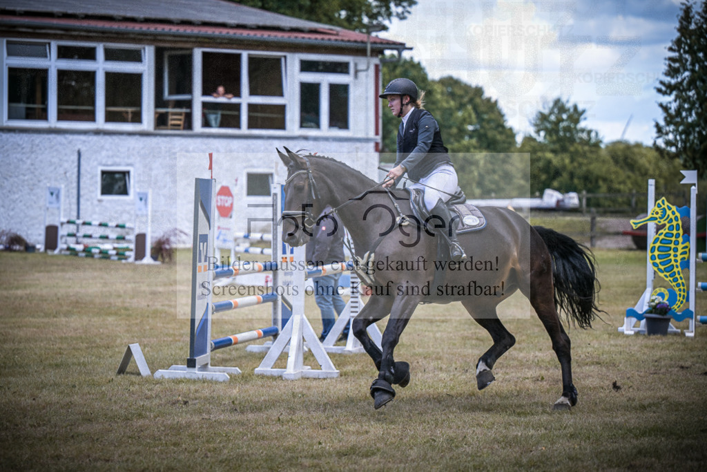 DOS_0357 | Entdecke hochwertige Reitturnierfotos von Foto Oger. Professionell, emotional und authentisch – jetzt Lieblingsmomente im Shop bestellen.Deutschlandweite Turnierfotografie. - Realisiert mit Pictrs.com
