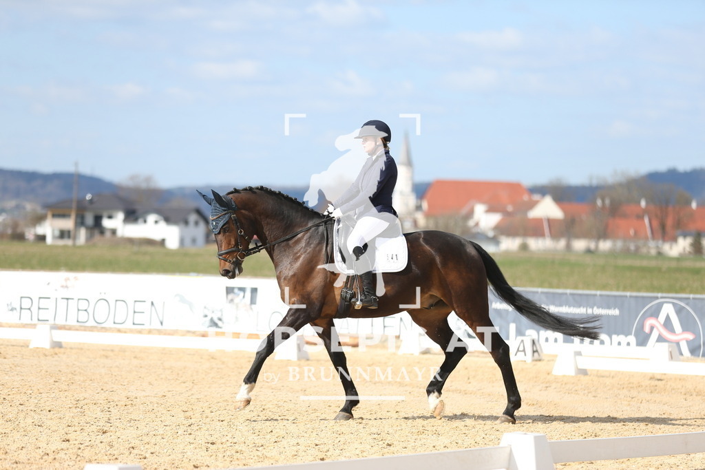 AS8V1786 | Willkommen bei Brunnmayr - Design & Fotografie – Ihrem Spezialisten für Reitturniere und Pferdeveranstaltungen in Oberösterreich, Salzburg und Bayern! Seit über 17 Jahren sind wir leidenschaftlich dabei.