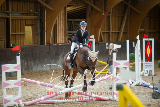 IMG_1800 | Turniersportfotografie; Pferdefotografie; Dressurfotografie