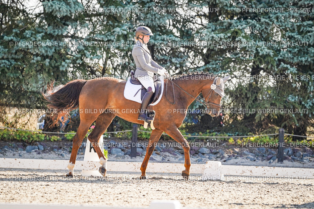 DSC09810 | Pferdegrafie