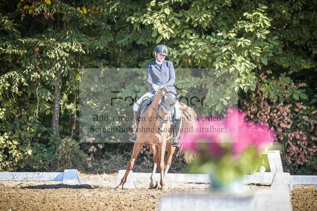 DOS_1788 | Entdecke hochwertige Reitturnierfotos von Foto Oger. Professionell, emotional und authentisch – jetzt Lieblingsmomente im Shop bestellen.Deutschlandweite Turnierfotografie. - Realisiert mit Pictrs.com