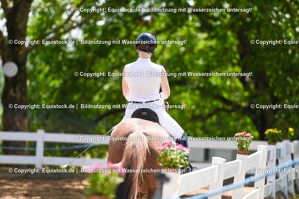 20230716_03_Dressurprfg. Kl.L - Tr._0480 | equistock