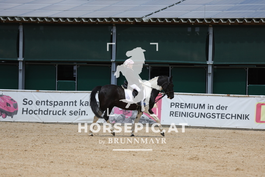 0P6A1601 | Willkommen bei Brunnmayr - Design & Fotografie – Ihrem Spezialisten für Reitturniere und Pferdeveranstaltungen in Oberösterreich, Salzburg und Bayern! Seit über 17 Jahren sind wir leidenschaftlich dabei.