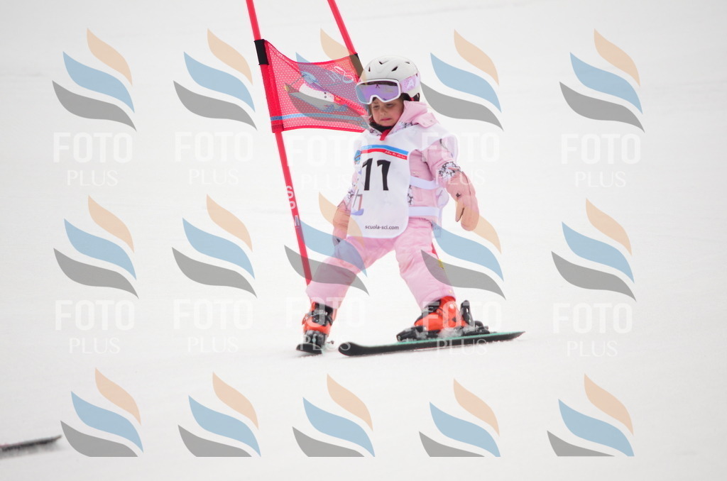 B8993 | holidayphoto