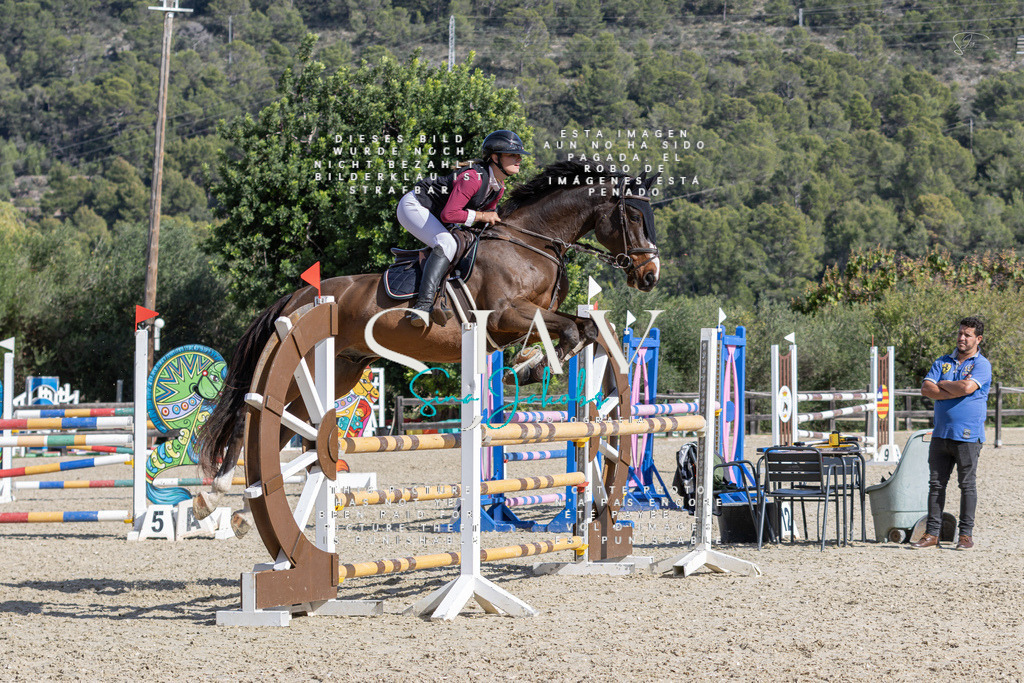 IMG_0332 | s-jay-photography - Realisiert mit Pictrs.com