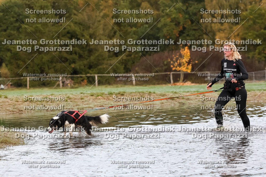 Dog Paparazzi - Strongdog 10-25-6410 | Dog Paparazzi Jeanette Grottendiek Fotografie & Videografie - Realisiert mit Pictrs.com