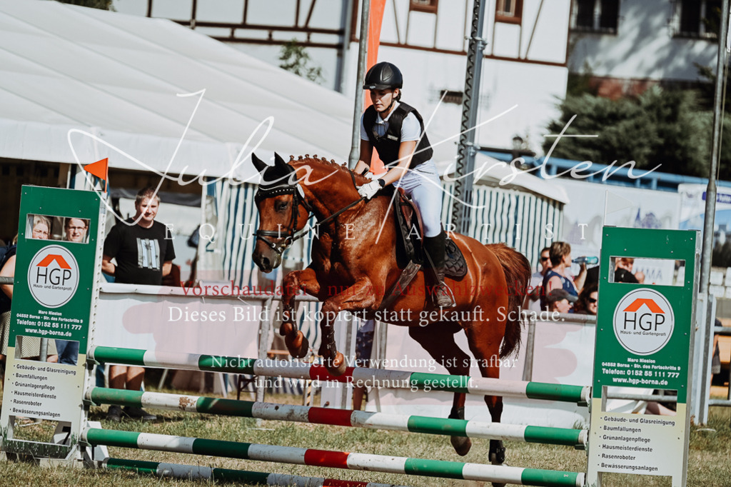 DSC_9435 | Pferde- und Turnierfotografie in Westsachsen. Pferdeportraits, Auftragszeichnungen und intuitive Kunst.