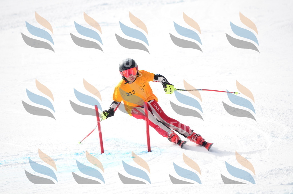 C8198 | holidayphoto