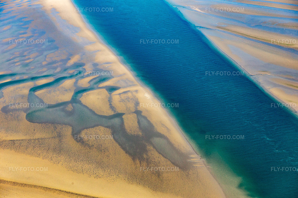 Aerial view: South American sea lions and harbor seals at the tidal channel to the sandbank Peter Meyers in Fanø in the state South Denmark, Denmark.Photo: IMG_118679.jpg taken on 09/21/2019 by Werner Riehm/FLY-FOTO.comResolution of the original: 5472 x 3648 px