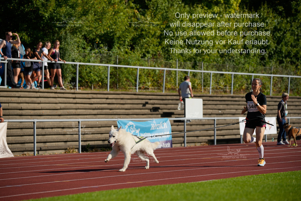 Sonntag_Staffel (110 von 336) | stephaniefillaphotographie - Realisiert mit Pictrs.com