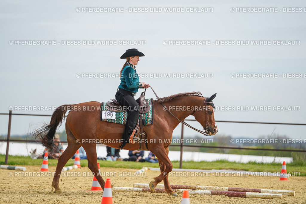 DSC03635 | Pferdegrafie