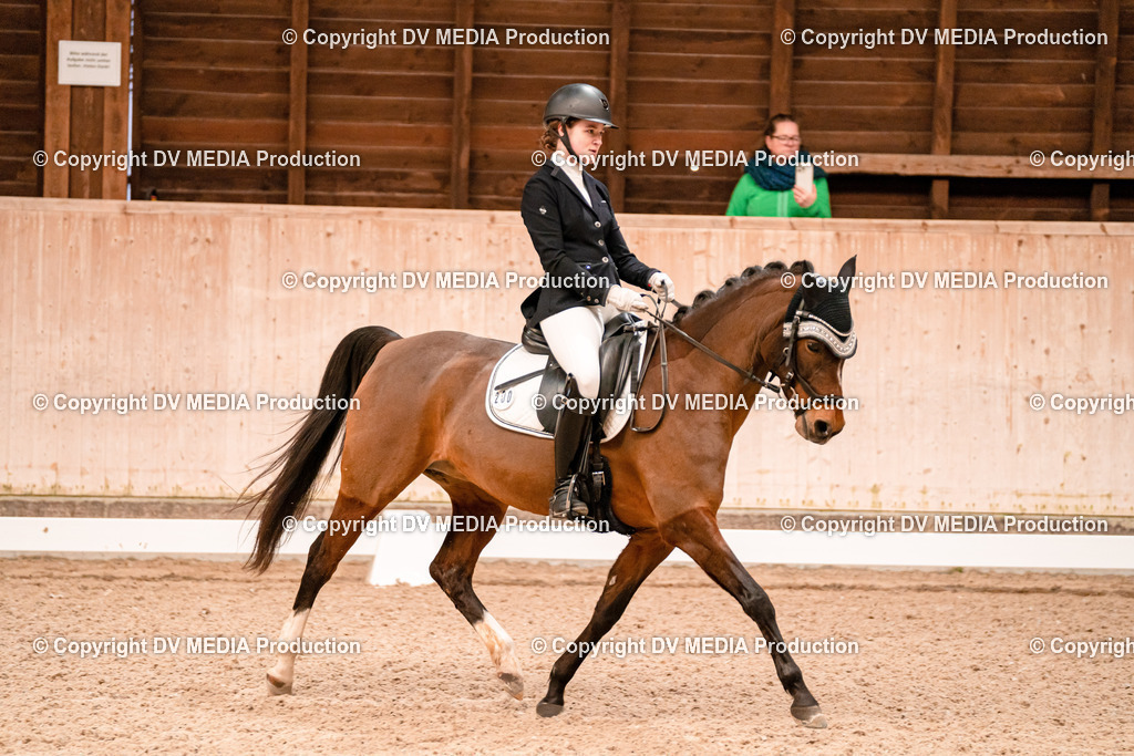 Dressur Tag 2-52 | dv-media-shop - Realisiert mit Pictrs.com