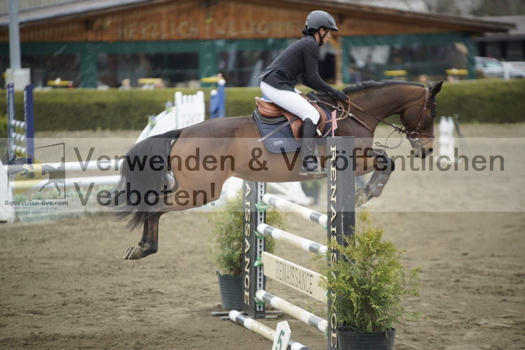 _DSC7276 | equestrian-live-com