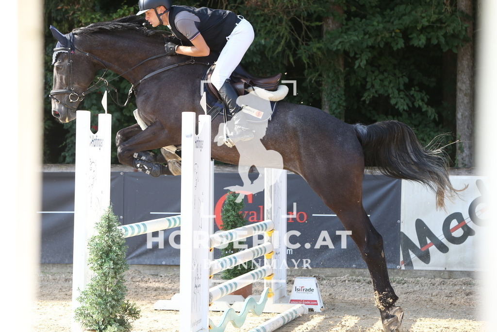 DL2Q0106 | Willkommen bei Brunnmayr - Design & Fotografie – Ihrem Spezialisten für Reitturniere und Pferdeveranstaltungen in Oberösterreich, Salzburg und Bayern! Seit über 17 Jahren sind wir leidenschaftlich dabei.