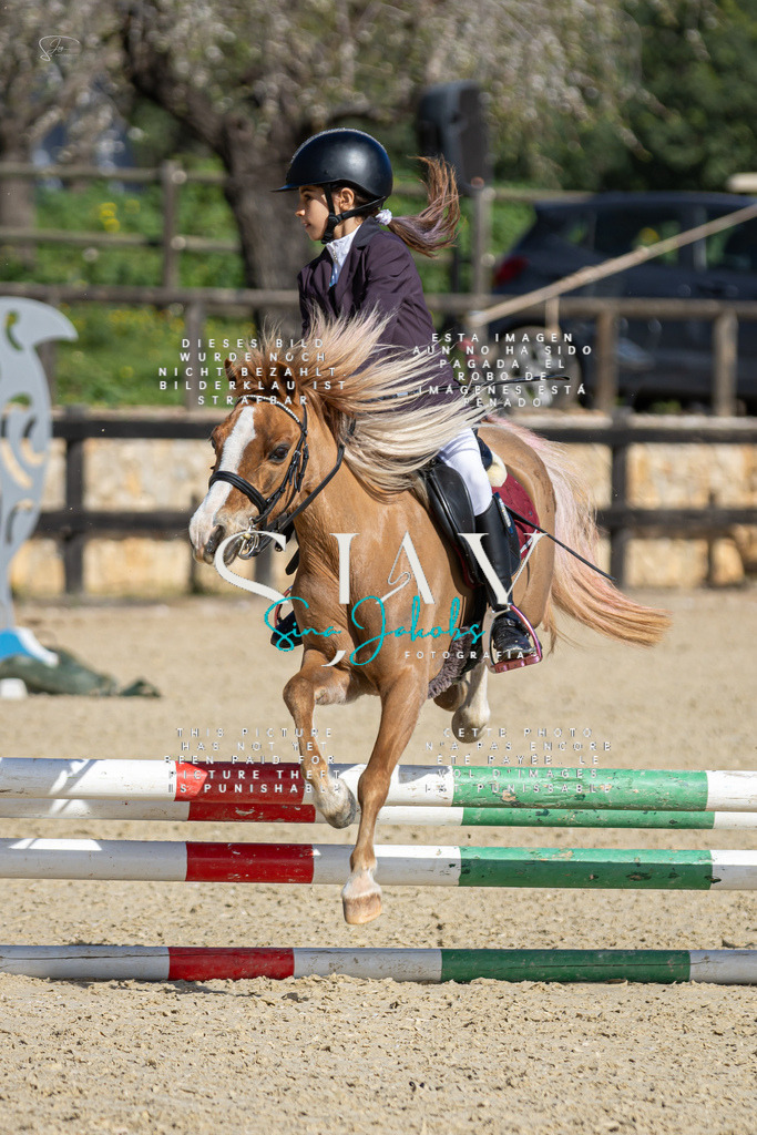 IMG_6033 | s-jay-photography - Realisiert mit Pictrs.com