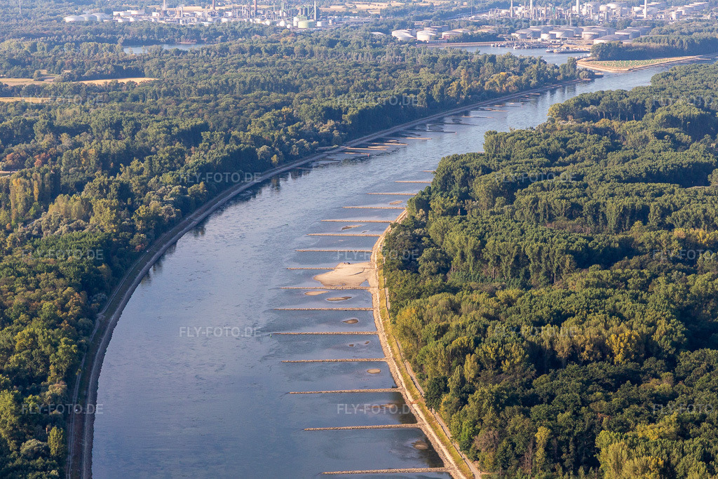 Luftbild: trockengefallene Buhnen und Sandbänke im Rhein wegen Niedrigwasser in Neupotz im Bundesland Rheinland-Pfalz in Deutschland. Foto: IMG_133723.jpg vom 14.08.2022 durch Werner Riehm/FLY-FOTO.de