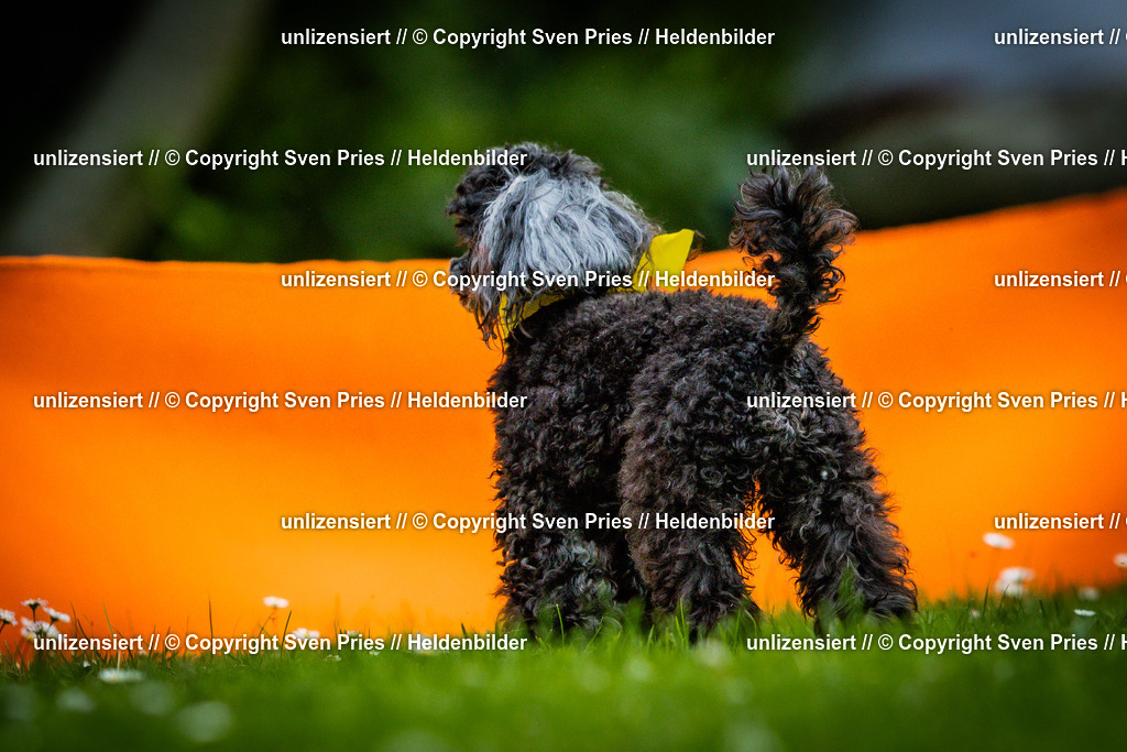 Sven Pries | 2025-05-29 - Pudelrennen KA-Durlach - Realisiert mit Pictrs.com