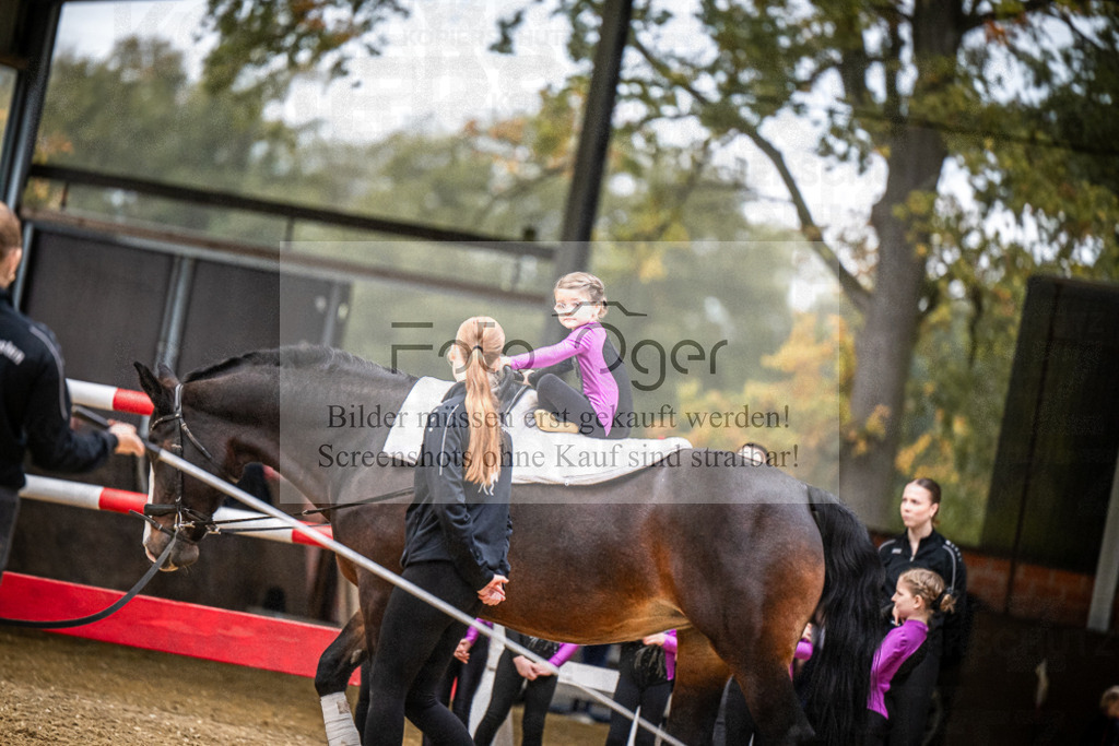 DOS_0203 | Entdecke hochwertige Reitturnierfotos von Foto Oger. Professionell, emotional und authentisch – jetzt Lieblingsmomente im Shop bestellen.Deutschlandweite Turnierfotografie. - Realisiert mit Pictrs.com