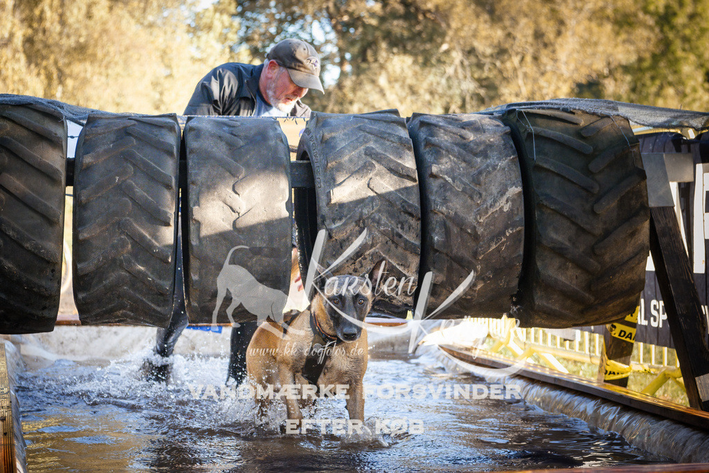 0921_ZZ90642 | kk-dogfotos