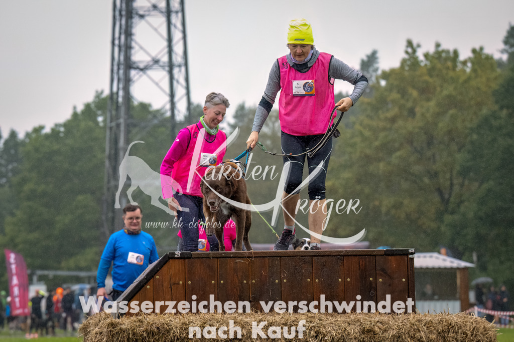 1005--34 | kk-dogfotos