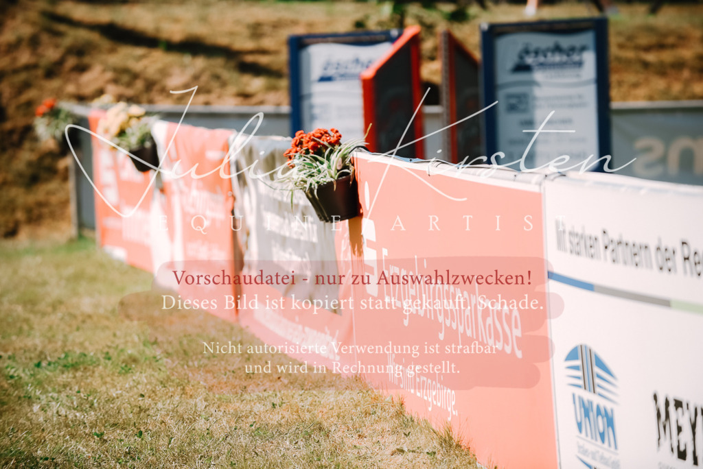 DSC_2977 | Pferde- und Turnierfotografie in Westsachsen. Pferdeportraits, Auftragszeichnungen und intuitive Kunst.