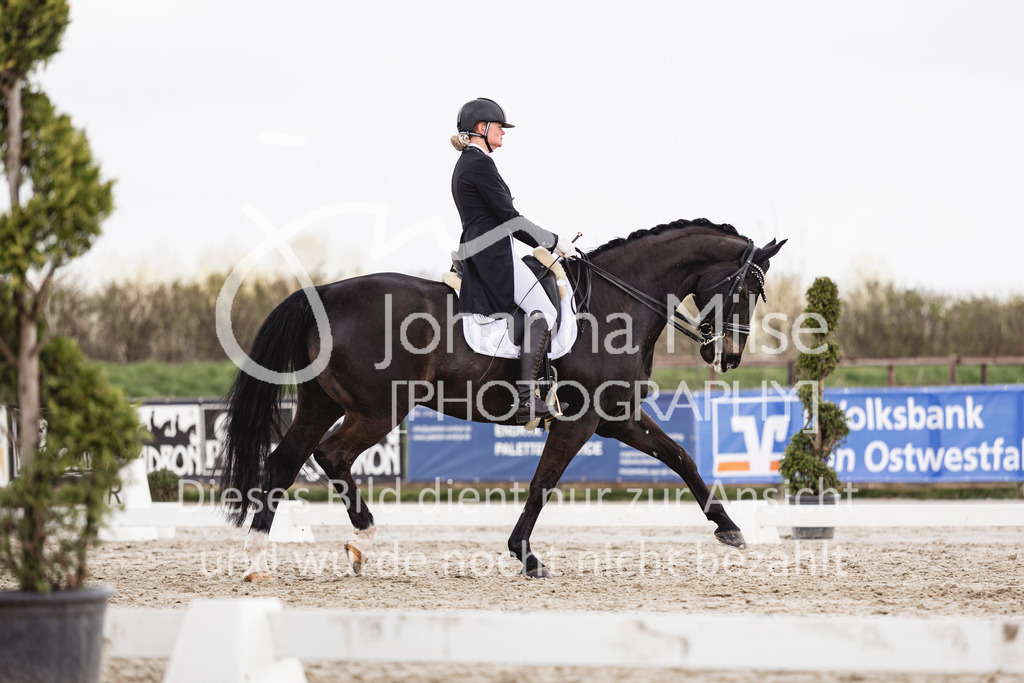 260331_Fruehlingsfest_Dressurreiter-S-422 | Deine schönsten Turniermomente als professionelle Fotos! Entdecke hochwertige Pferdesport-Fotografie im Online-Shop. Jetzt Fotos finden & bestellen!