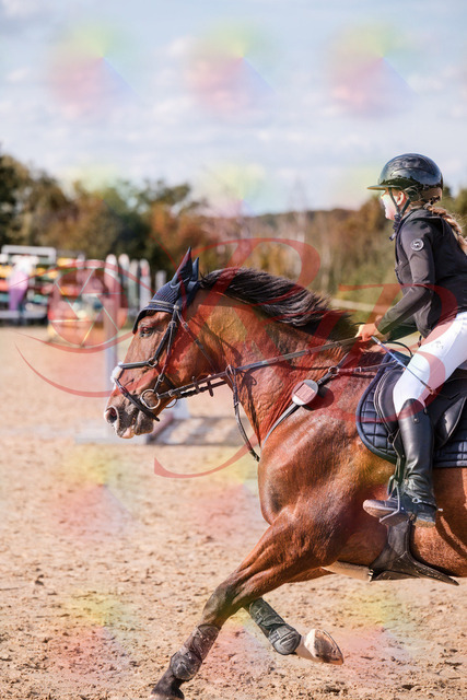 2026_10_03_Siefer-Hof_154716_Z81_66890755 | Professionelle Reitsport-, Turnier- und Eventfotografie von Robert Broda. Galerien mit ausgewählten und bearbeiteten Bildern direkt online ansehen und bestellen.