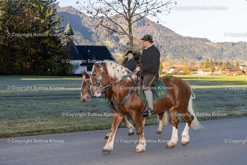 LL24-108 | foto-bettina-krinner - Realisiert mit Pictrs.com