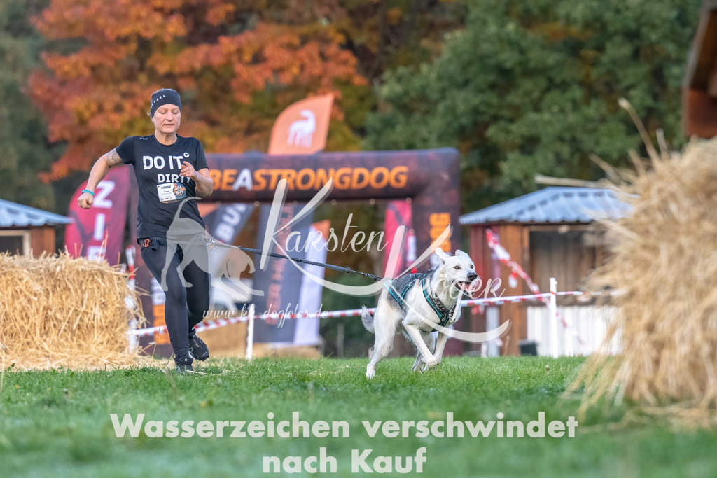 0814_ZZ94942-Bearbeitet | kk-dogfotos