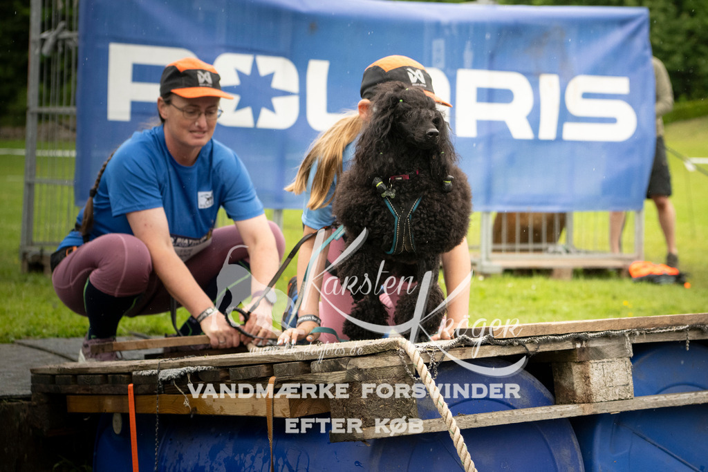 1202_ZZ96499 | kk-dogfotos