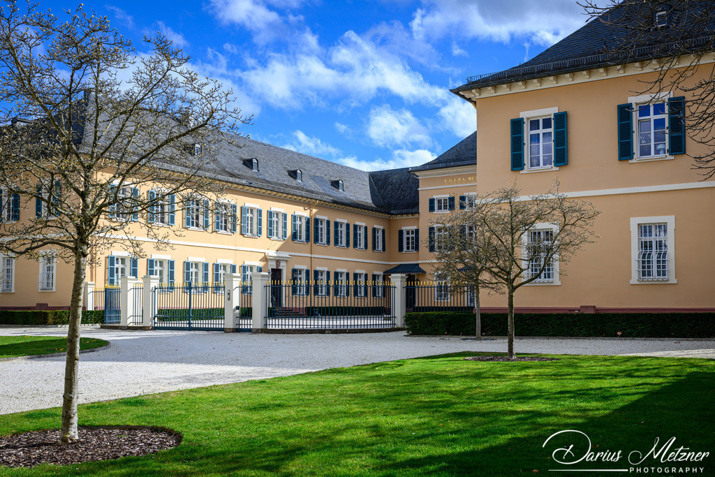 DSC_0573 | Fotografien, Fotos und Bilder aus Mainz, Frankfurt, Wiesbaden und anderen Orten auf der Welt - Fotografiert von Darius Metzner