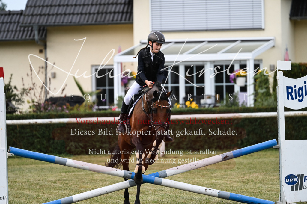 DSC_5451 | Pferde- und Turnierfotografie in Westsachsen. Pferdeportraits, Auftragszeichnungen und intuitive Kunst.