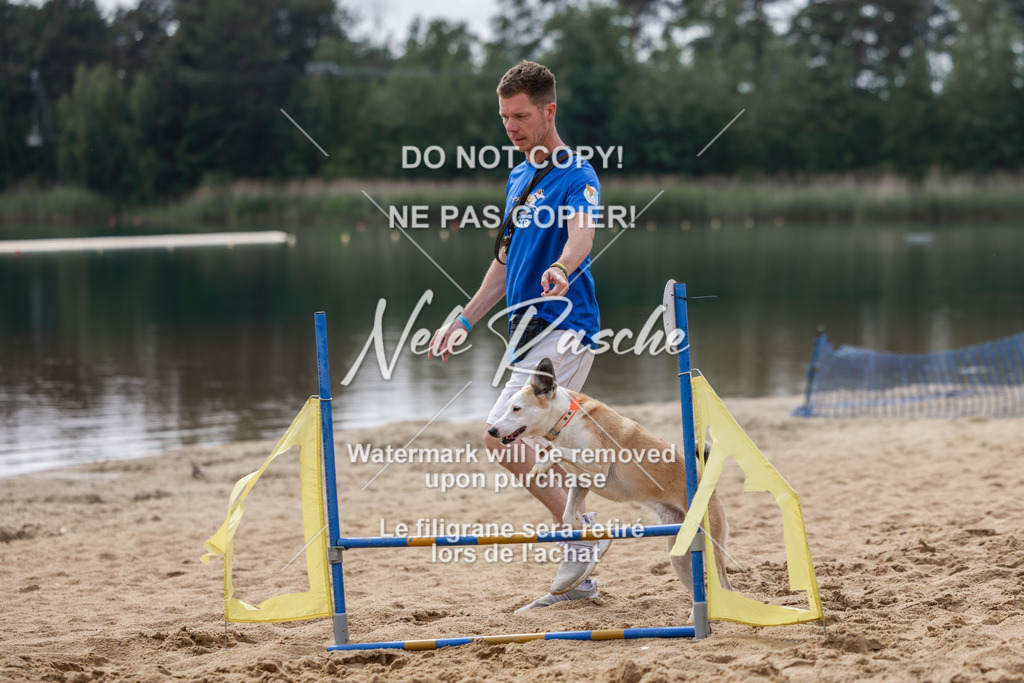 nelerasche_BuHu2026_So1530-Ende_58 | nelerasche
