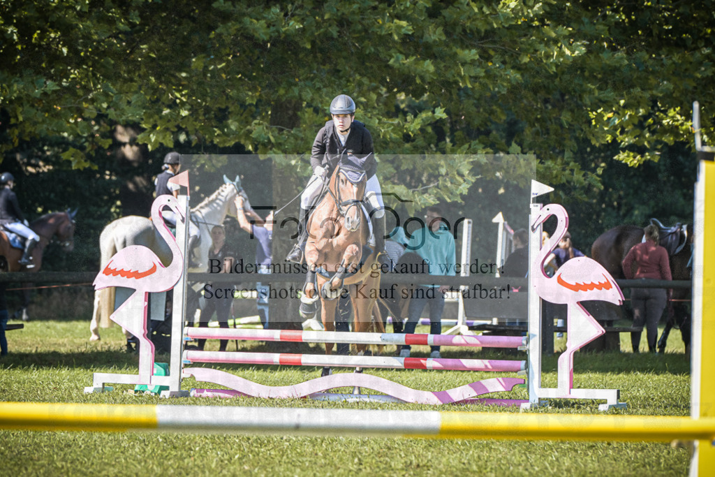 DOS_0018 | Entdecke hochwertige Reitturnierfotos von Foto Oger. Professionell, emotional und authentisch – jetzt Lieblingsmomente im Shop bestellen.Deutschlandweite Turnierfotografie. - Realisiert mit Pictrs.com