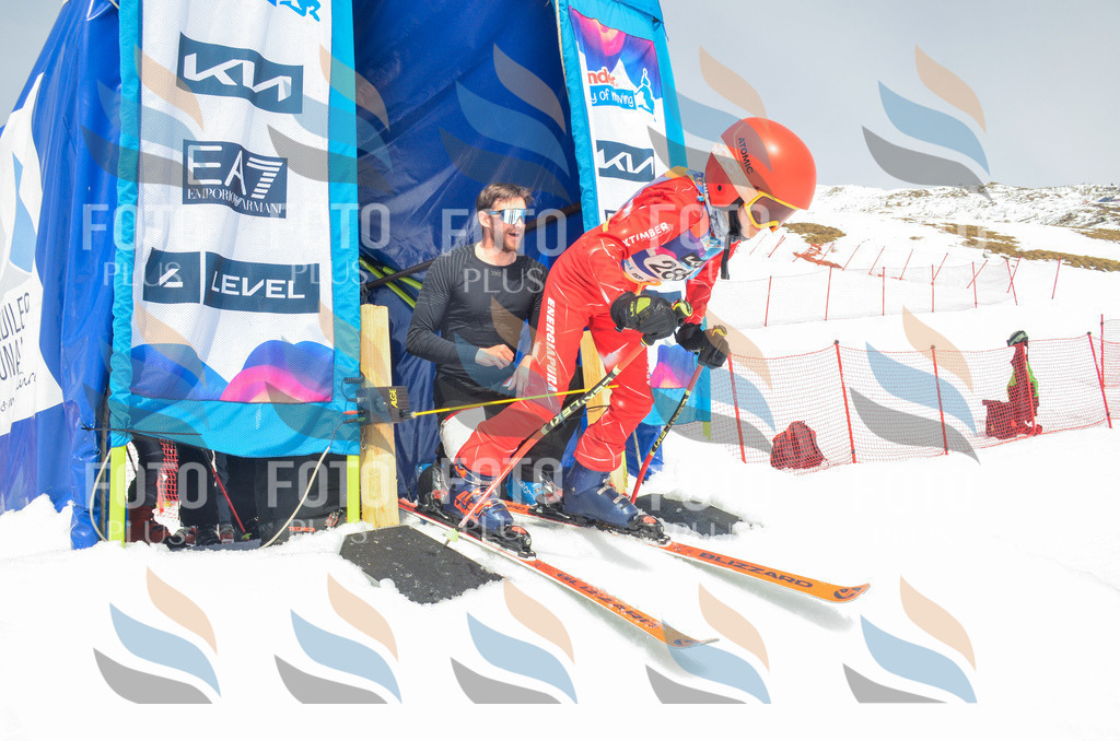 _ELE8054 | holidayphoto