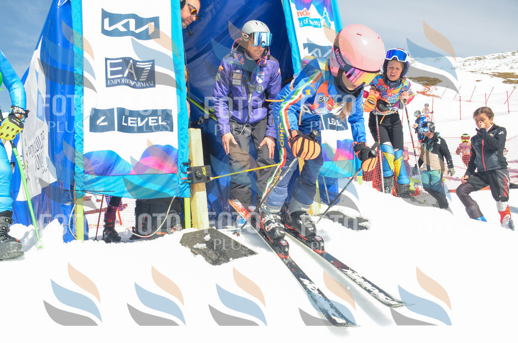 _ELE6297 | holidayphoto