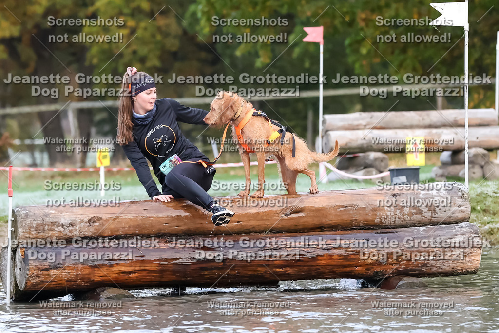 Dog Paparazzi - Strongdog 10-25-6218 | Dog Paparazzi Jeanette Grottendiek Fotografie & Videografie - Realisiert mit Pictrs.com