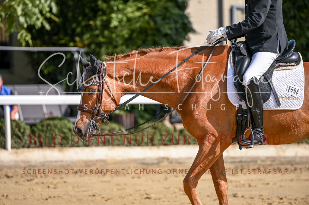 Schugtsche-Aluta25-52.Dressurprf.M2Kand-249 | Schugtsche Fotografie - Realisiert mit Pictrs.com