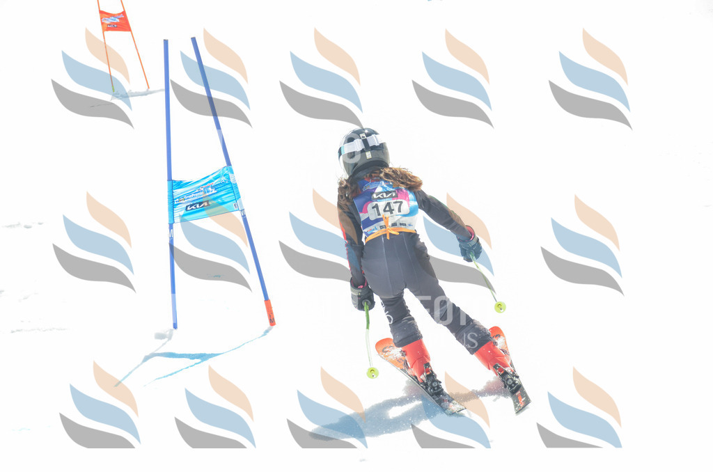 _ELE6276 | holidayphoto