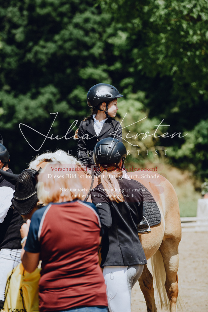 DSC_2662 | Pferde- und Turnierfotografie in Westsachsen. Pferdeportraits, Auftragszeichnungen und intuitive Kunst.