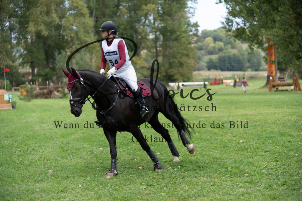 A7V03551 | Pferdefotograf