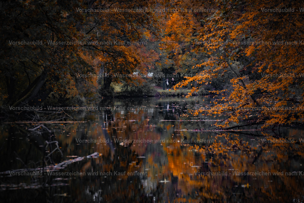 DSC06072-2 | marcuslinek