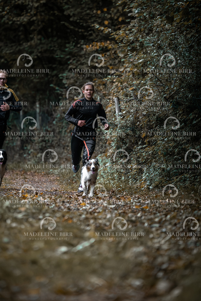 madeleinebirr-fotografie2025.campcanis.sa.8-9Uhr-1 | hundefotografie-birr