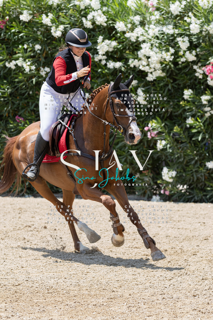 IMG_1684 | s-jay-photography - Realisiert mit Pictrs.com