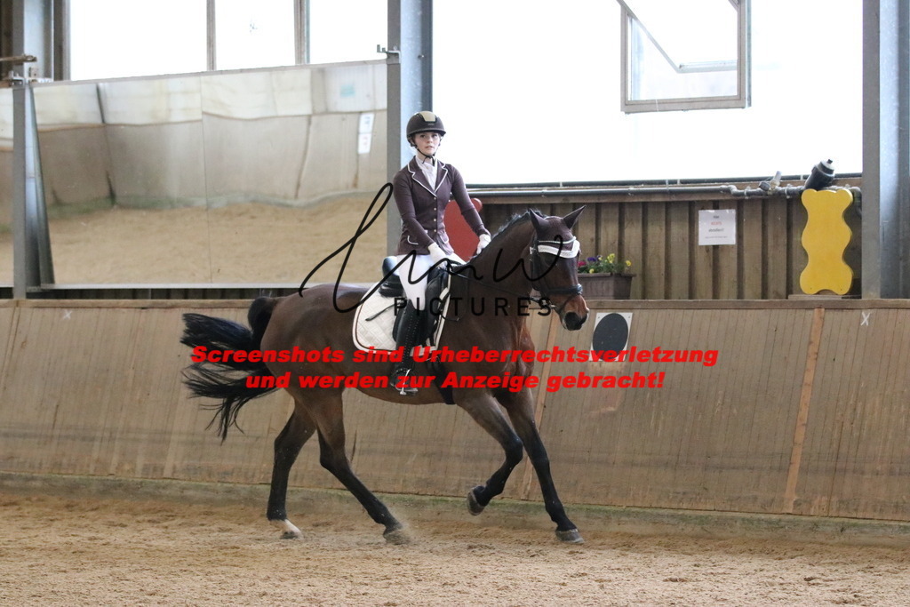 IMG_6722 | lmwpictures - Realisiert mit Pictrs.com