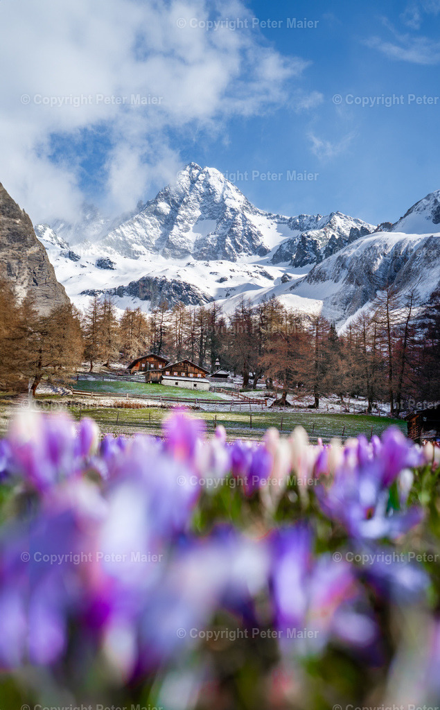 Frühling_Kals_Lucknerhaus_2020-11 | piet_flosse