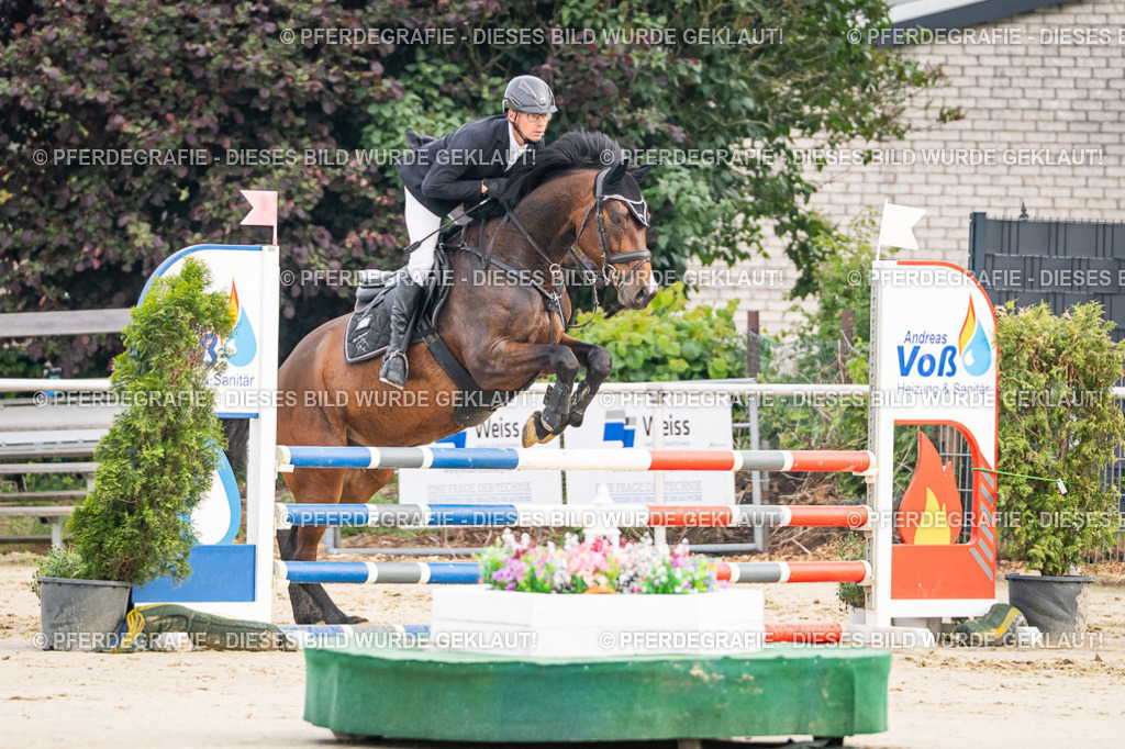 DSC08663 | Pferdegrafie