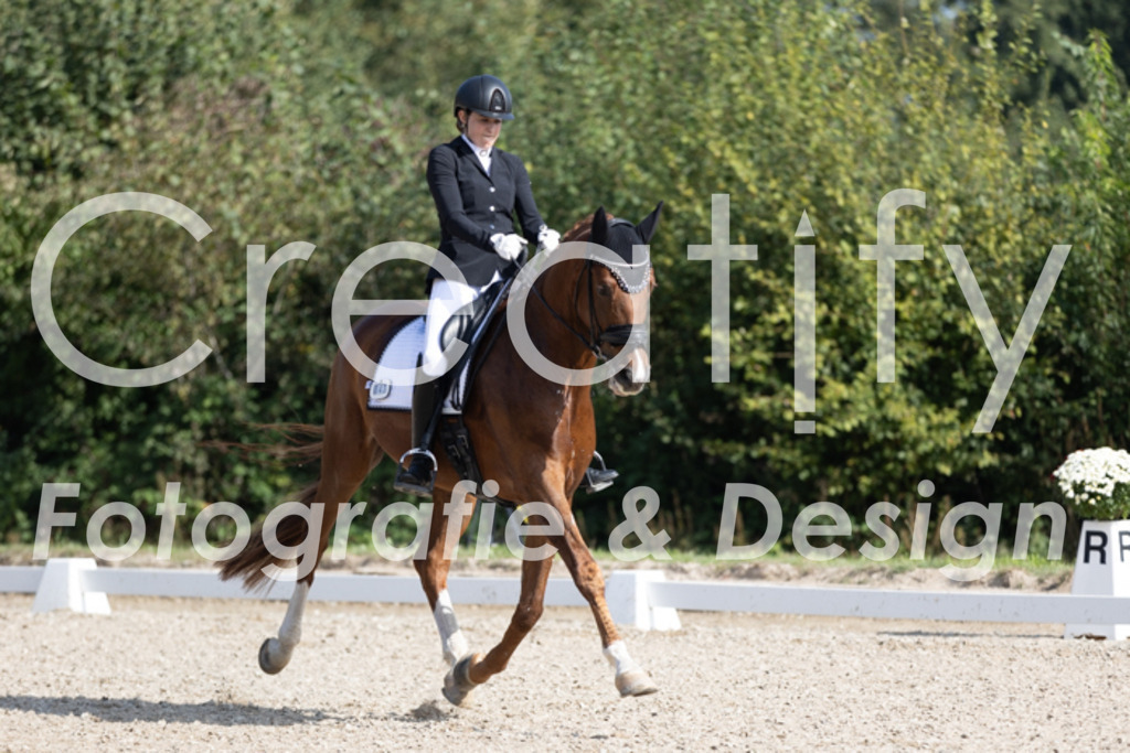 IMG_3156 | Creatify Fotografie